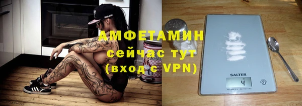 дживик Бородино