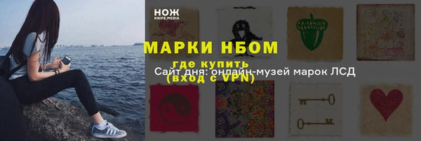 дживик Бородино