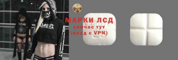 дживик Бородино