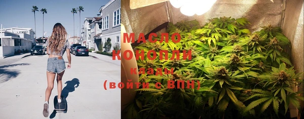 дживик Бородино