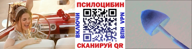 сайты даркнета как зайти купить наркотик Волгореченск Псилоцибиновые грибы мицелий